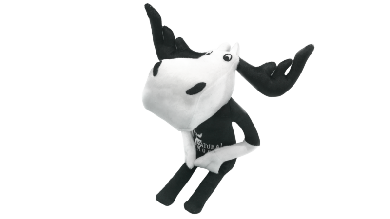 Bernie The Moose